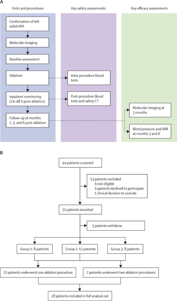Schema dello studio sull'ipertensione e della sperimentazione - Credits: The Lancet