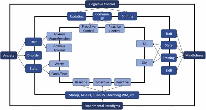 Una tassonomia multidimensionale e non unitaria di ansia, controllo cognitivo, mindfulness e paradigmi sperimentali. Il diagramma illustra come le quattro dimensioni chiave di ansia, controllo cognitivo, mindfulness e paradigmi sperimentali vengano progressivamente scomposte in sottoelementi - Credits: Neuroscience & Biobehavioral Reviews