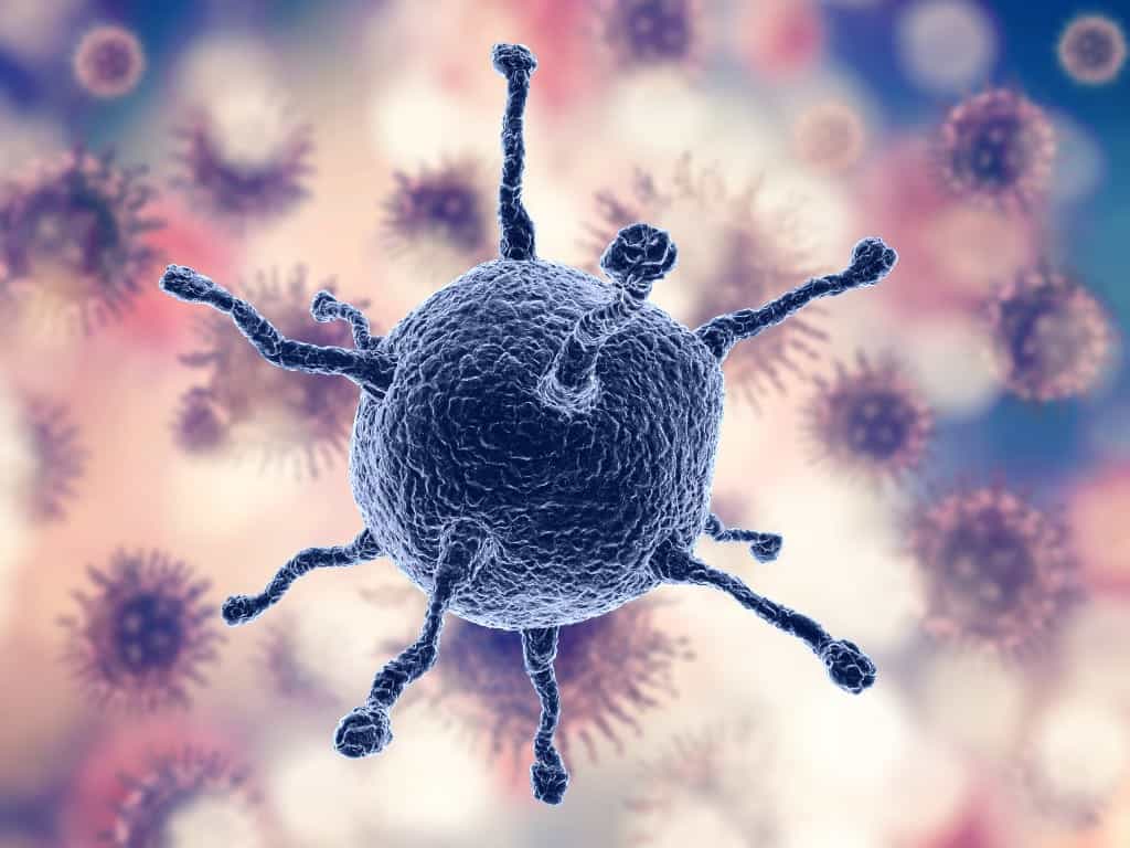 Citomegalovirus: cos’è, come si trasmette e perché è importante conoscerlo - Credits: Freepik