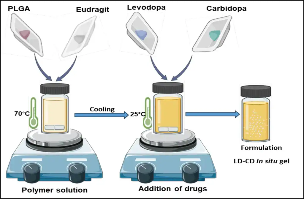 Sviluppo di un sistema di impianto in situ per levodopa e carbidopa per il trattamento del morbo di Parkinson - Credits: Drug Delivery and Translational Research