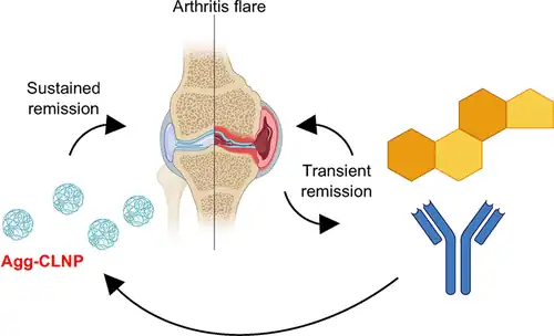 Astratto del nuovo studio eseguito sull'artrite reumatoide - Credits: ACS Central Science