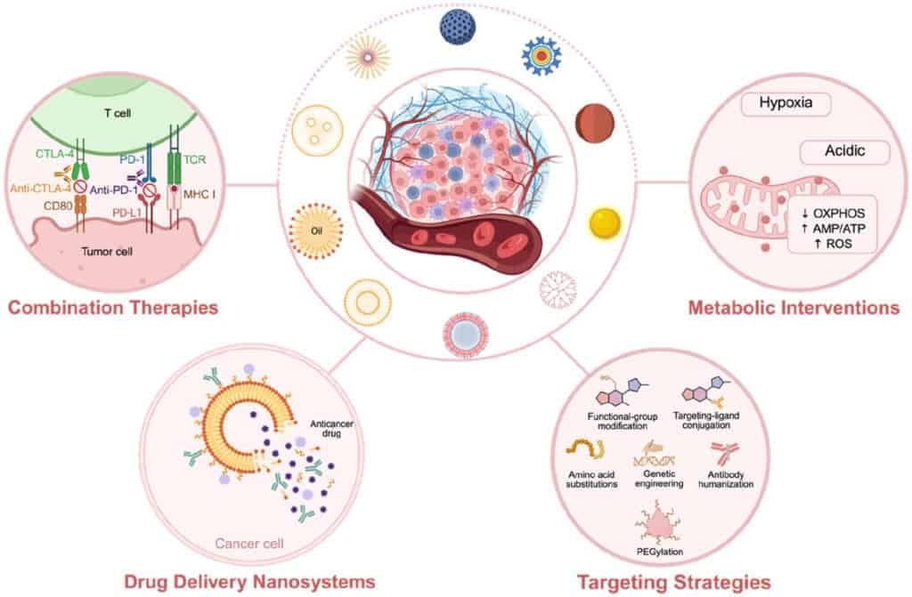 I nanomateriali migliorano la terapia antitumorale modulando componenti complessi nel microambiente tumorale (TME) attraverso quattro vie primarie. I nanomateriali fungono da piattaforma versatile, ottenendo effetti antitumorali attraverso l'intervento metabolico nel TME, il targeting di precisione di componenti TME specifici, la consegna di più agenti terapeutici e strategie terapeutiche combinatorie - Credits: Early View