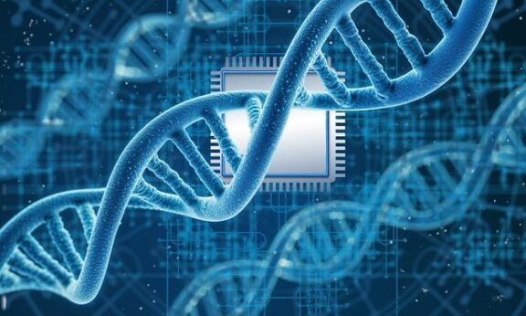 Machine Learning: ottimizzare la sanità con Big Data - Credits: Pixabay