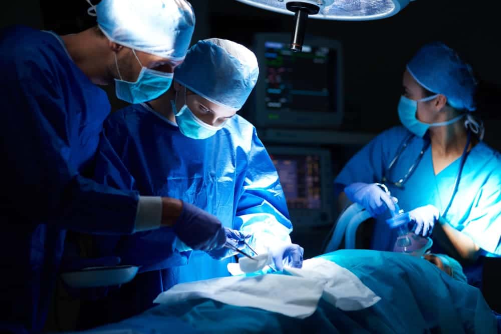 Organoidi renali: primi impianti in un rene da trapiantare