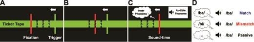 Schema del protocollo sperimentale sulla schizofrenia - Credits: Schizophrenia Bulletin