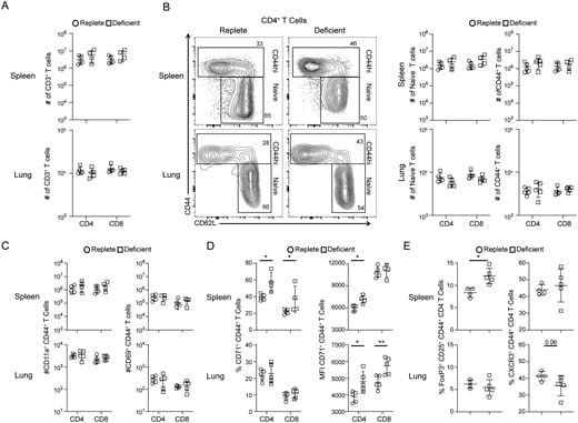 Differenze fenotipiche nei profili delle cellule T al basale tra le coorti di ferro. Analisi mediante citometria a flusso delle cellule T di topi naive alla quinta settimana di diete a contenuto di ferro definito - Credits: The Journal of Immunology