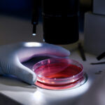 Lung-on-chip: un modello umano per studiare le prime fasi della tubercolosi - Credits: Magnific.com