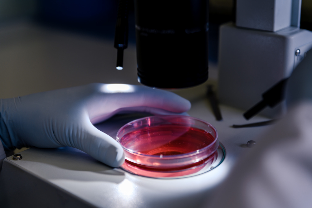 Lung-on-chip: un modello umano per studiare le prime fasi della tubercolosi - Credits: Magnific.com